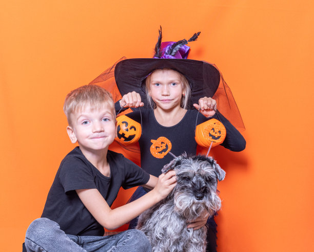 一个穿着女巫服装的女孩拿着一个装满糖果的女巫篮子，一个男孩和一只狗在橙色背景上图片下载