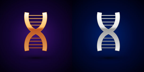 金和银DNA符号图标分离在黑色上图片下载