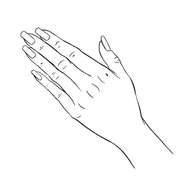 手势轮廓矢量插图。女子少女的女性手掌画。图片下载