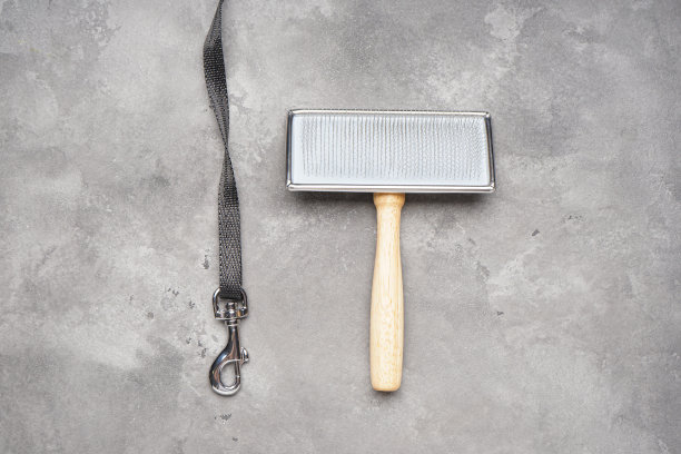 带钩环和梳刷的狗链在灰色背景。平的。图片下载