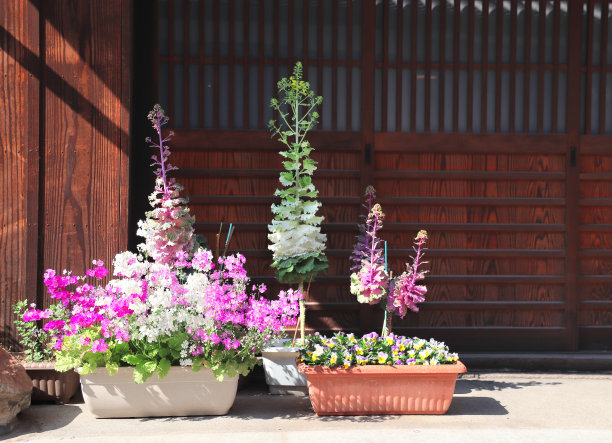 日本仓市碧坎区的小型城市观赏花园图片下载