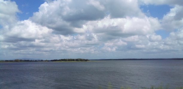 英格尼米蒂亚·贾拉沙亚图片下载