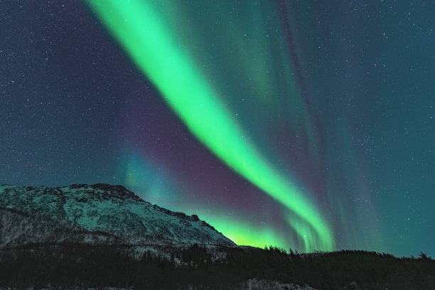挪威罗浮敦上空冬夜的北极光图片下载