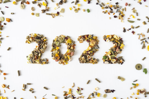 2022啮齿动物食品图片下载