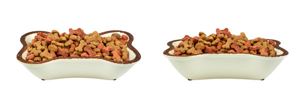 狗干粮在骨头形碗孤立在白色的宠物狗粮碗图片下载
