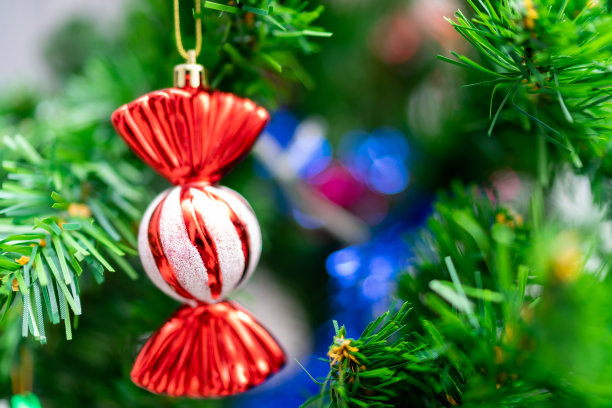 糖果装饰在圣诞树上图片下载