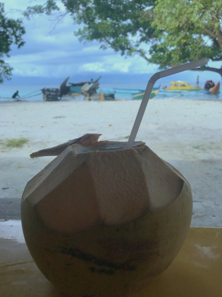 新鲜椰子喝图片下载