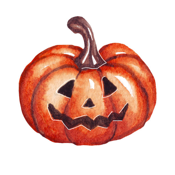 南瓜。水彩插图。手绘图片下载