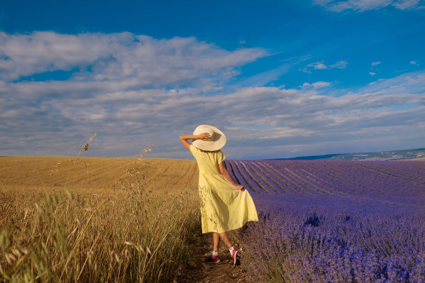 两个世界的相遇:一个穿着黄色裙子的女孩在麦田和薰衣草田之间图片下载