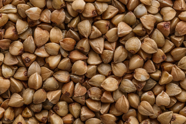 荞麦。饮食和健康饮食的概念，荞麦质地的背景。微距摄影荞麦纹理。无麸质古谷物健康饮食，俯视图。图片下载