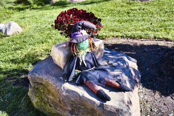 万圣节女巫图片下载