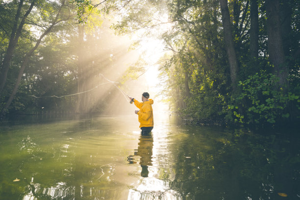 在晨雾中飞钓图片下载