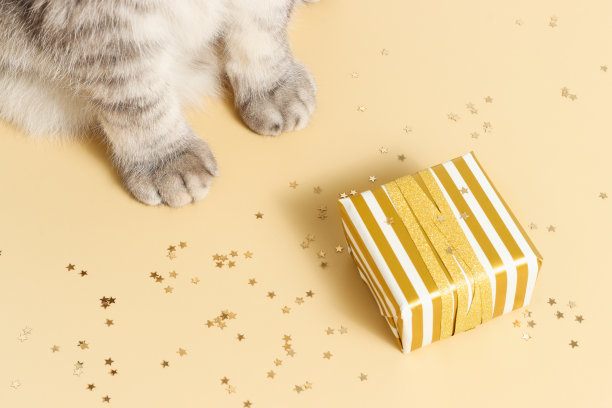 猫爪在米色背景与金色的五彩星星图片下载