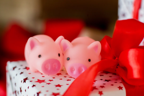 两只玩具猪坐在一份新年礼物上图片下载
