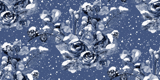 蓝色水彩冬季图案与小枝松树和玫瑰花与飘落的雪图片下载
