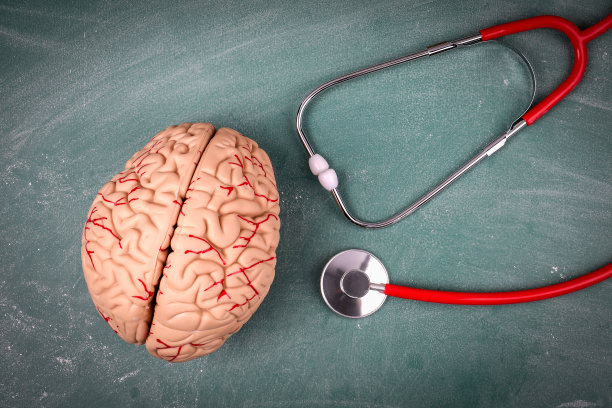 塑料脑模型和医生听诊器。假新闻的概念图片下载