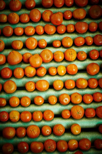 排序的橘子图片下载