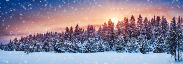 野外自然森林的全景在冬季降雪。图片下载