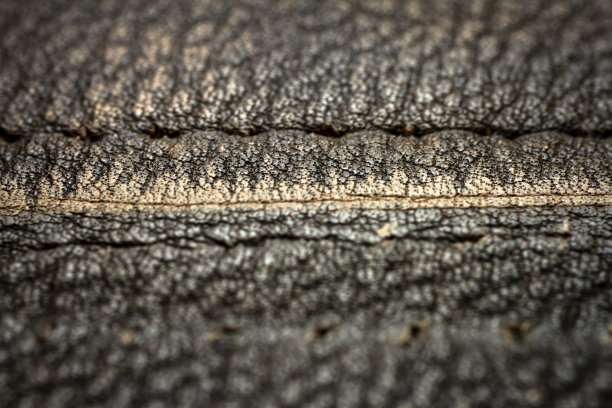 一个皮革的极端特写图片下载