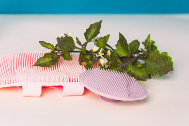 硅胶洁面刷及洁面刷，按摩身体肌肤护理图片下载