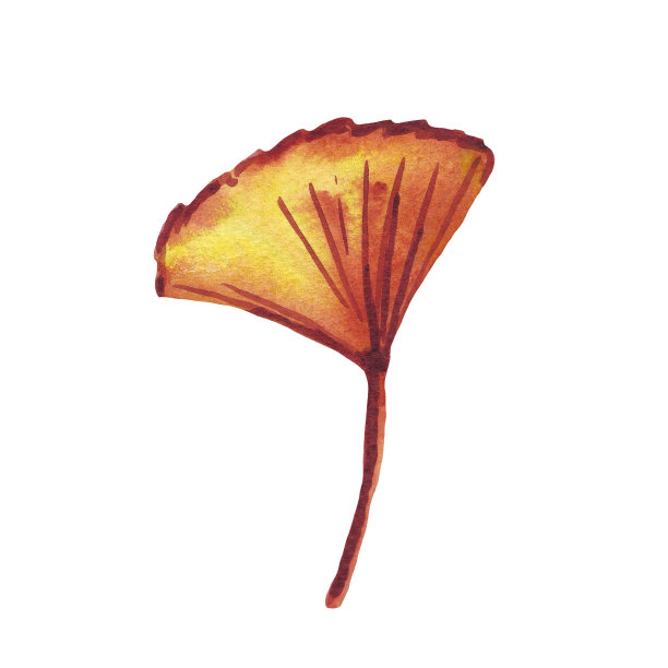 秋天的叶子。水彩剪纸艺术。手绘图片图片下载