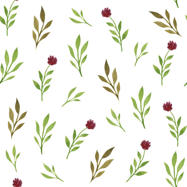 水彩无缝图案绿色的叶子，树枝，红色的花朵。矢车菊，野生和干花。波西米亚，乡村，植物，自然风格。孤立在白色背景上。图片下载