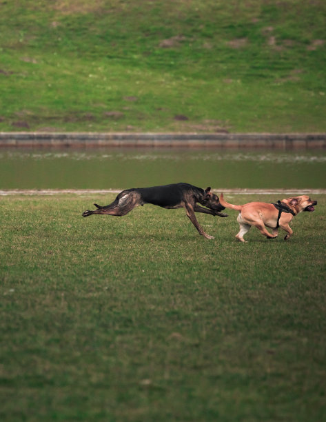心灵控制物质图片下载