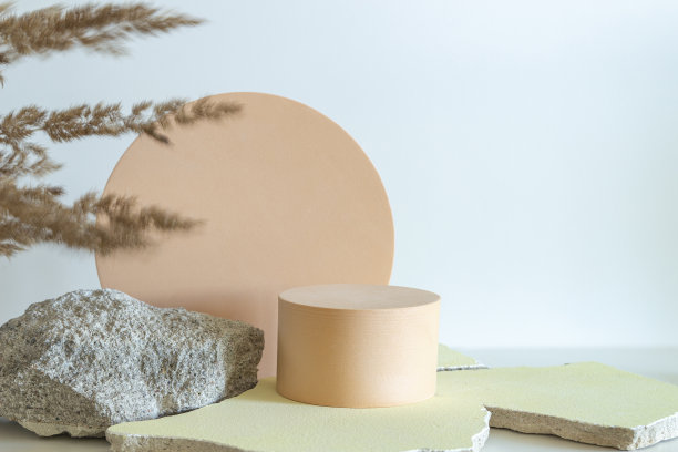 创意混凝土石和圆形米色平台平台，白色背景上的化妆品或产品。干燥弯曲的植物前景。前视图图片下载