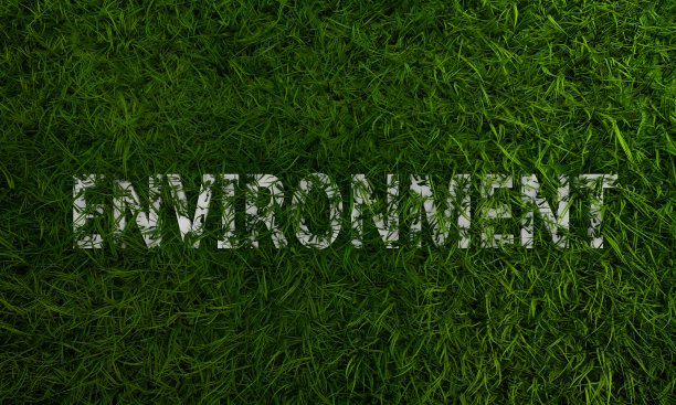 3d绿草与环境单字图片下载