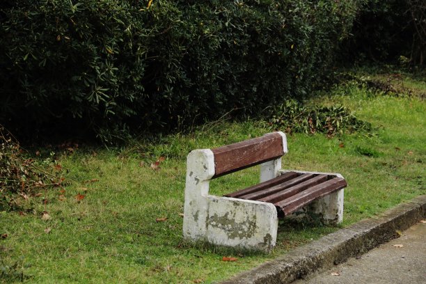 绿树下空荡荡的长椅图片下载