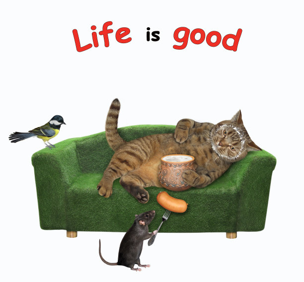 猫躺在沙发上吃酸奶油图片下载