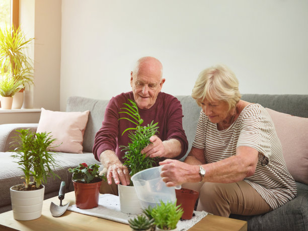 这是一对老夫妇在家里照顾他们的植物的照片图片下载
