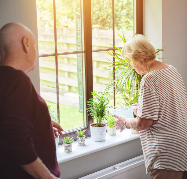 这是一对老夫妇在家里照顾他们的植物的照片图片下载