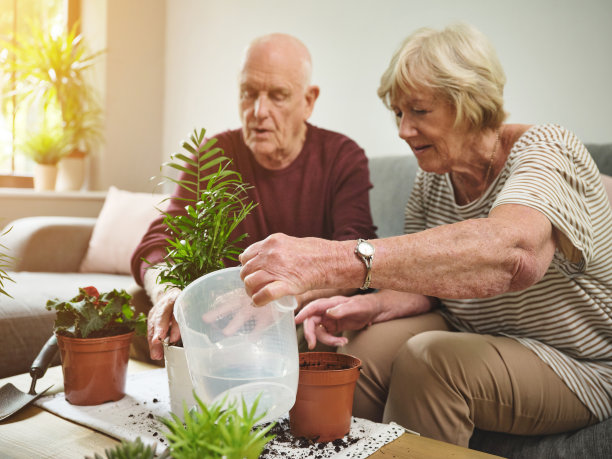 这是一对老夫妇在家里照顾他们的植物的照片图片下载