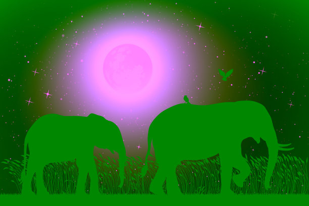 月光之夜，大象一家走在高高的草丛中图片下载
