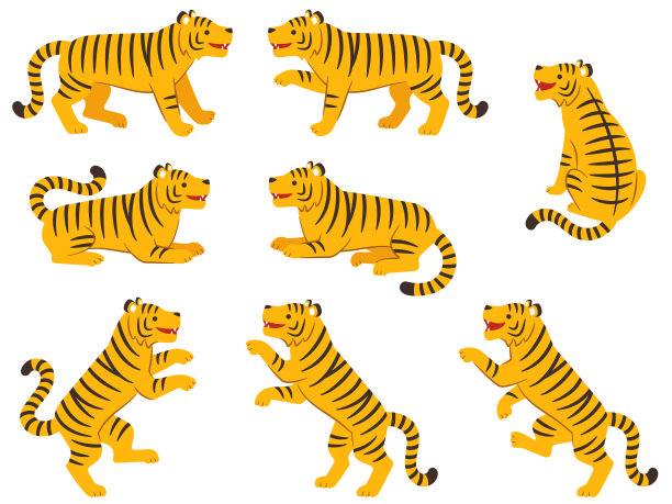 插图老虎在各种姿势图片下载