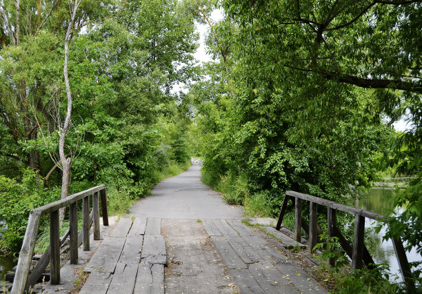 古老的木桥图片下载