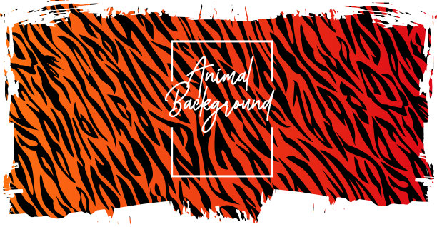 矢量笔刷与老虎条纹图案。老虎的背景。图片下载