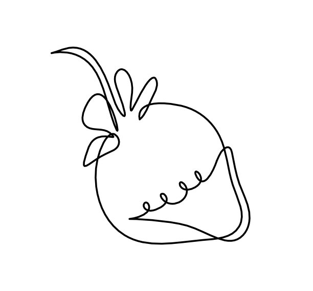 在白色背景上画出草莓线图片下载