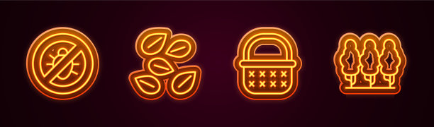 设线止科罗拉多甲虫种子的特异图片下载