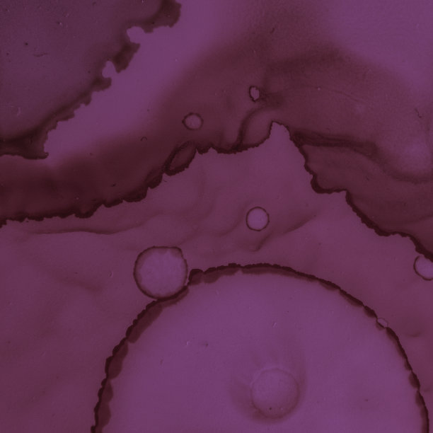 酒精的葡萄酒插图。水彩栗色图片下载