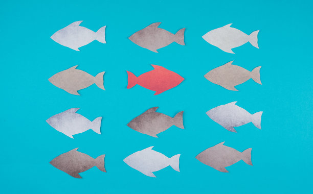 一条红色的鱼逆流而行，与其他鱼的方向相反，显得与众不同图片下载