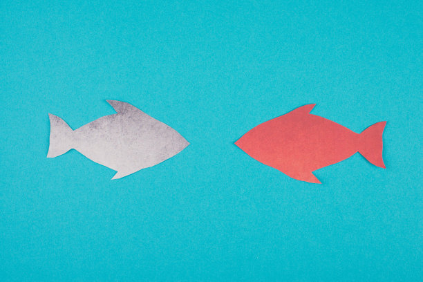 一条红色的鱼逆流而行，与其他鱼的方向相反，显得与众不同图片下载