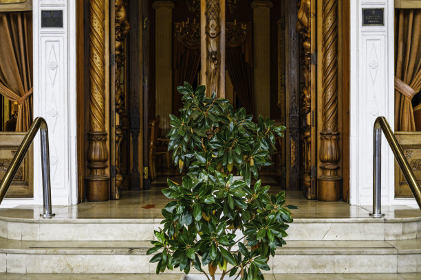 酒店老式招待会的入口图片下载