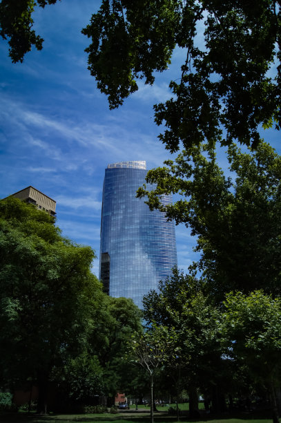 建筑之间的树图片下载