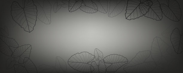 深灰色和黑色背景与大根相思叶线艺术框架图片下载