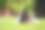 两个小女孩在玩图片下载