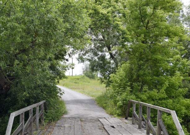 古老的木桥图片下载