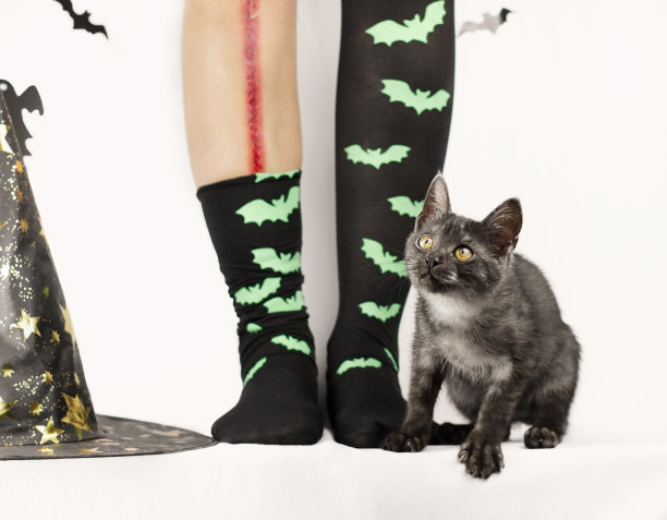 灰色的虎斑猫靠近女孩的腿上有划痕并穿着长筒袜。万圣节庆祝活动概念图片下载