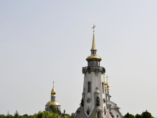 克鲁奇图片下载